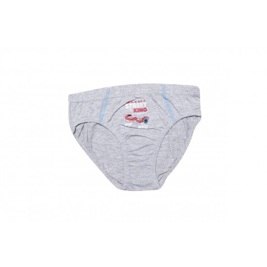 Kota 1019 Erkek Çocuk Baskılı Erkek Slip Külot 